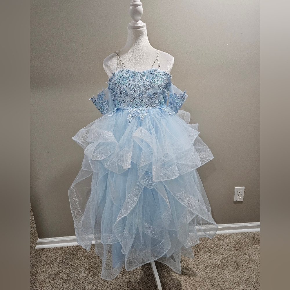 Gorgeous Formal Dress